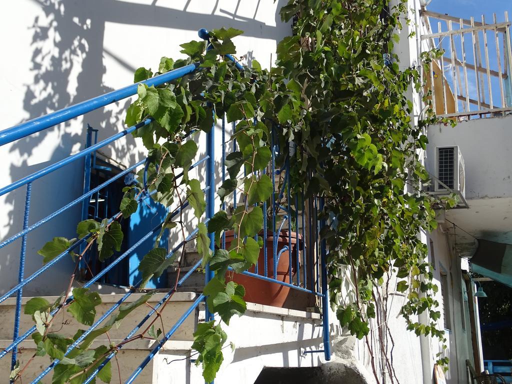 Juha'S Guesthouse - Zarqa Bay Jisr ez Zarqa Екстериор снимка