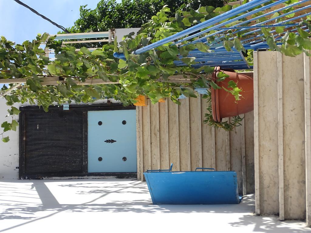 Juha'S Guesthouse - Zarqa Bay Jisr ez Zarqa Екстериор снимка