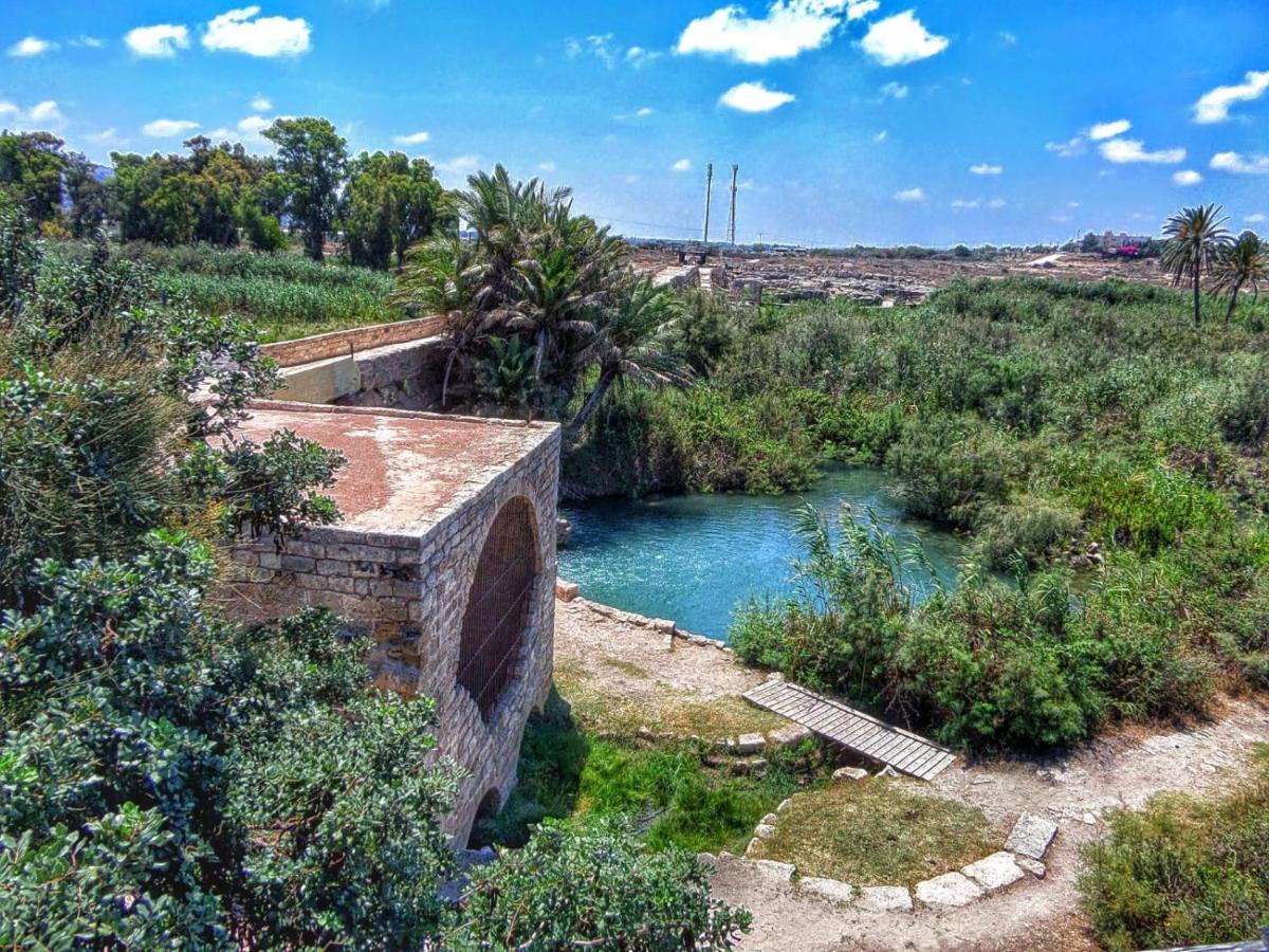 Juha'S Guesthouse - Zarqa Bay Jisr ez Zarqa Екстериор снимка