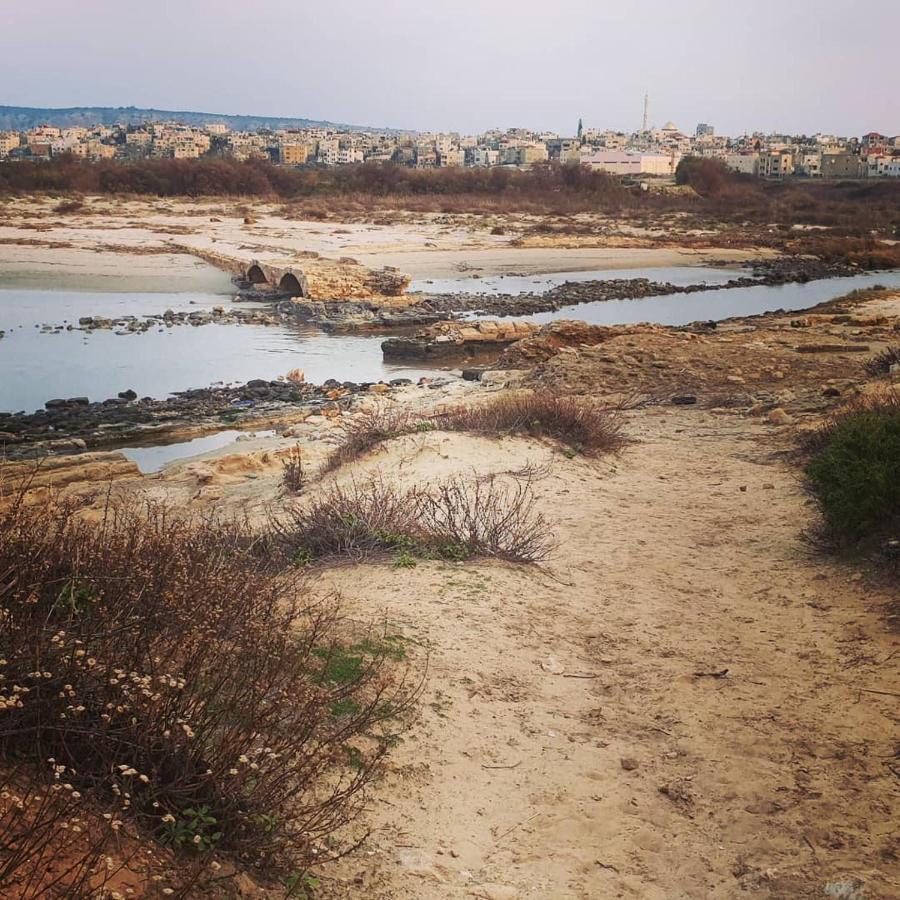 Juha'S Guesthouse - Zarqa Bay Jisr ez Zarqa Екстериор снимка
